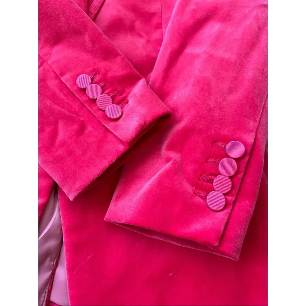 NWOT J.Crew Collection Willa Pants ONLY in Tipped Stretch Velvet -SIZE 4 Dr - Picture 8 of 10